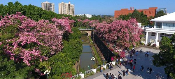 2023年广东专插本新增院校